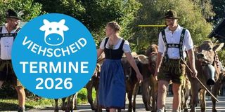 Viehscheid 2026