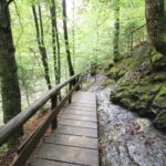 Über Holzbrücken durch die Starzlachklamm - Vorsicht rutschig