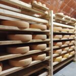 Reifender Alpkäse im Käskeller der Sennalpe Weinberg Eck